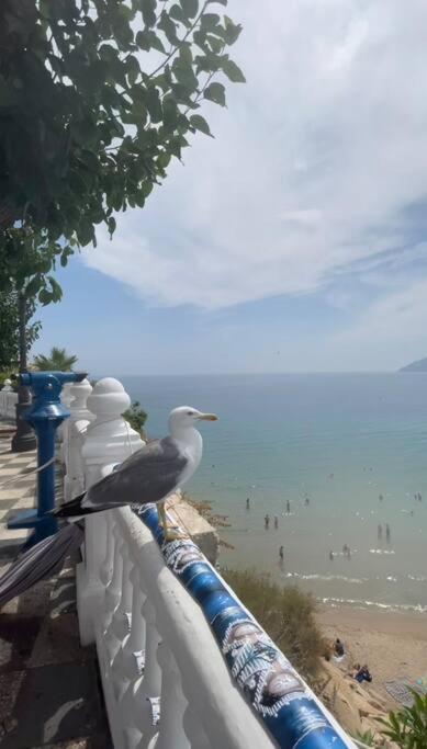Apartamento Centrico Y En Primera Linea De Playa Apartment Benidorm Bagian luar foto